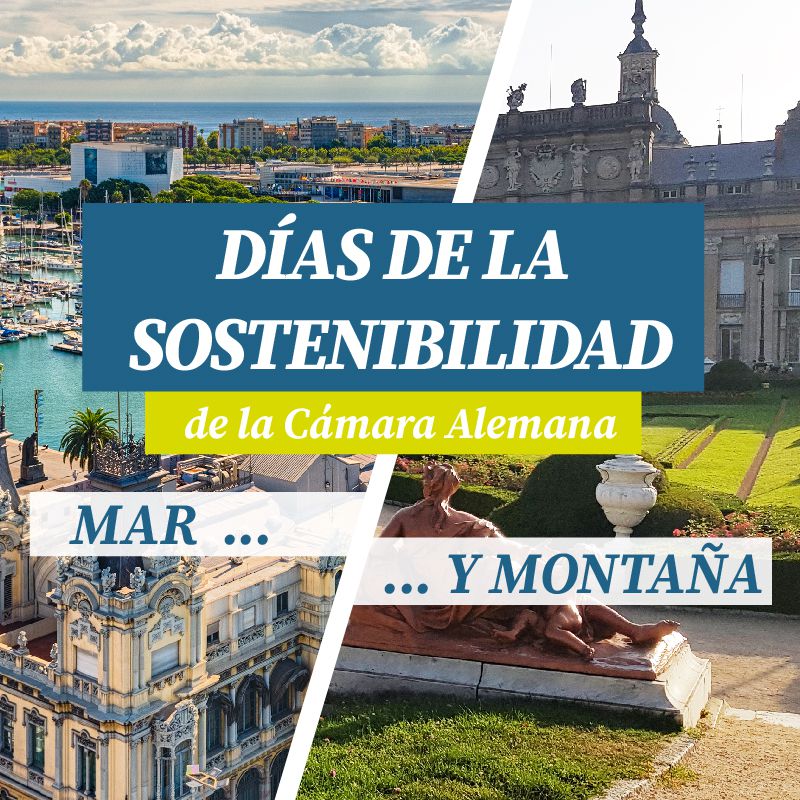 Odoo • Imagen y texto