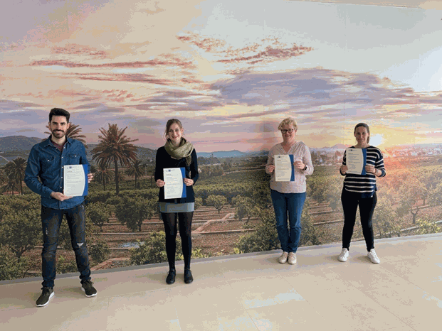 Odoo • Imagen y texto