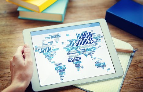 Círculo Recursos Humanos